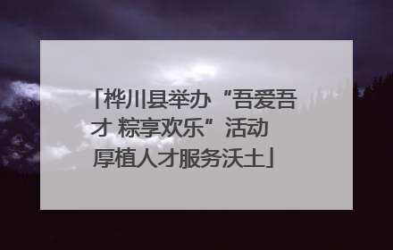 桦川县举办“吾爱吾才 粽享欢乐”活动 厚植人才服务沃土