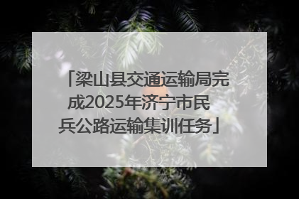 梁山县交通运输局完成2025年济宁市民兵公路运输集训任务