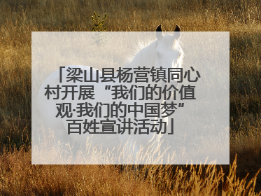 梁山县杨营镇同心村开展“我们的价值观·我们的中国梦”百姓宣讲活动