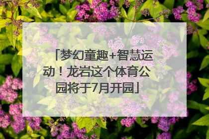 梦幻童趣+智慧运动！龙岩这个体育公园将于7月开园