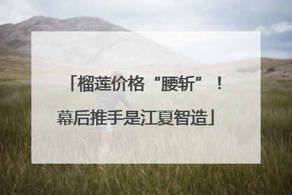 榴莲价格“腰斩”！幕后推手是江夏智造