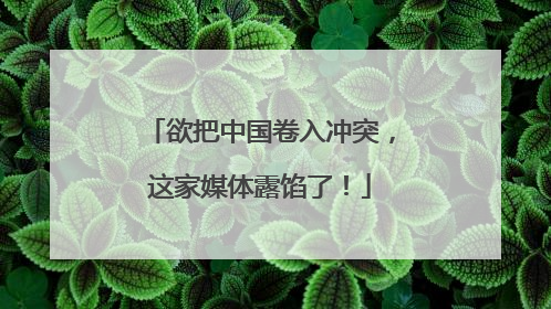 欲把中国卷入冲突，这家媒体露馅了！