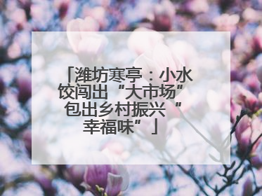 潍坊寒亭：小水饺闯出“大市场” 包出乡村振兴“幸福味”