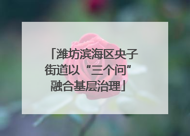 潍坊滨海区央子街道以“三个问”融合基层治理
