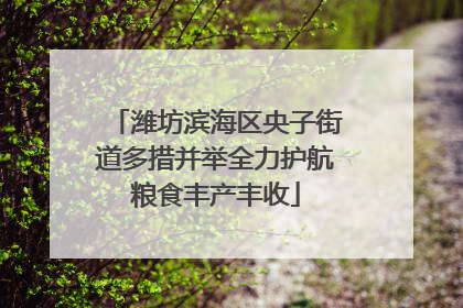 潍坊滨海区央子街道多措并举全力护航粮食丰产丰收