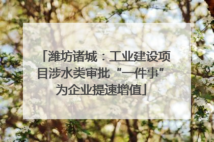潍坊诸城：工业建设项目涉水类审批“一件事” 为企业提速增值