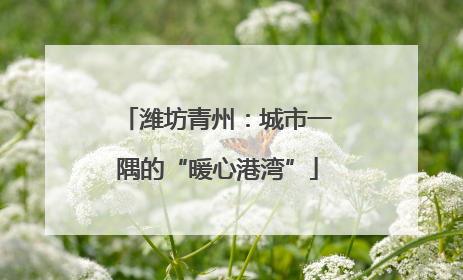 潍坊青州：城市一隅的“暖心港湾”