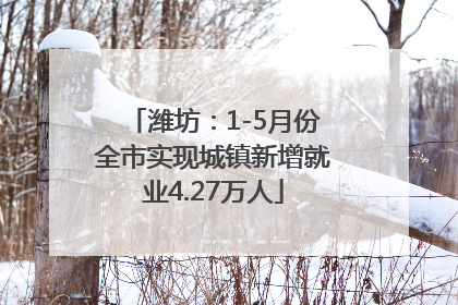 潍坊：1-5月份全市实现城镇新增就业4.27万人