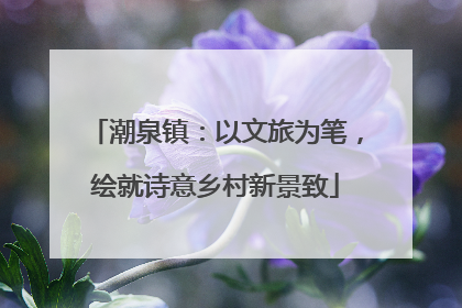 潮泉镇：以文旅为笔，绘就诗意乡村新景致