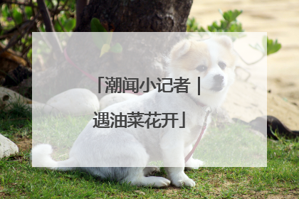 潮闻小记者｜遇油菜花开