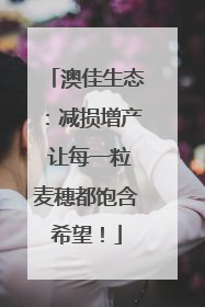 澳佳生态：减损增产 让每一粒麦穗都饱含希望！
