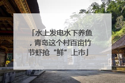 水上发电水下养鱼，青岛这个村百亩竹节虾抢“鲜”上市