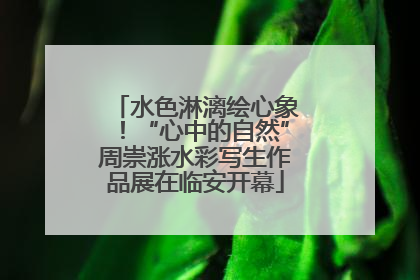 水色淋漓绘心象！“心中的自然”周崇涨水彩写生作品展在临安开幕
