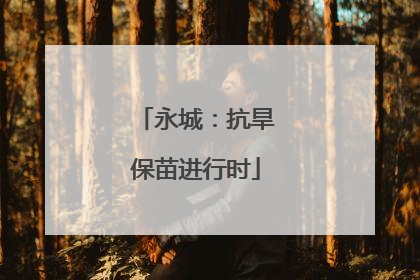 永城：抗旱保苗进行时
