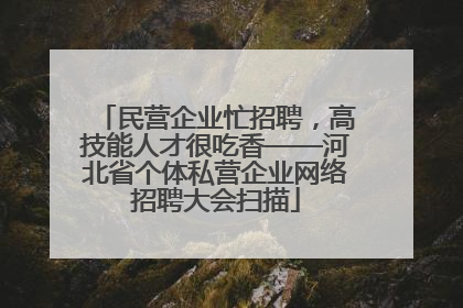 民营企业忙招聘，高技能人才很吃香——河北省个体私营企业网络招聘大会扫描