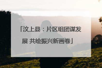汶上县：片区组团谋发展 共绘振兴新画卷