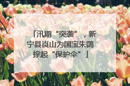 汛期“突袭”，新宁县崀山为国宝朱鹮撑起“保护伞”