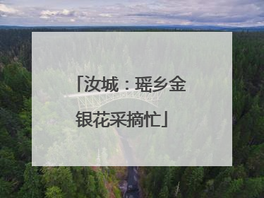 汝城：瑶乡金银花采摘忙