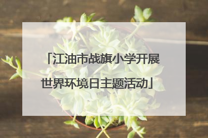江油市战旗小学开展世界环境日主题活动