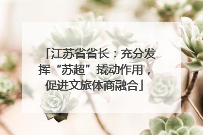 江苏省省长：充分发挥“苏超”撬动作用，促进文旅体商融合