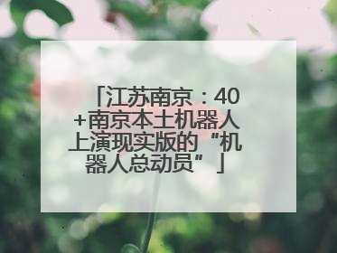 江苏南京：40+南京本土机器人上演现实版的“机器人总动员”
