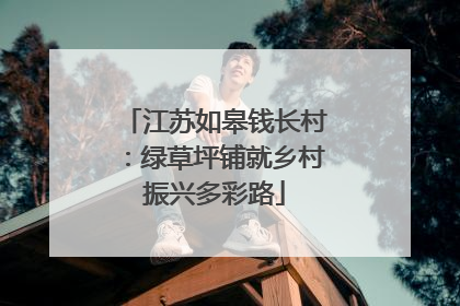 江苏如皋钱长村：绿草坪铺就乡村振兴多彩路