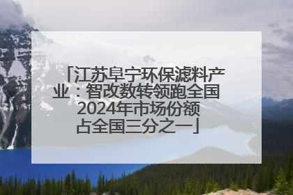 江苏阜宁环保滤料产业：智改数转领跑全国 2024年市场份额占全国三分之一