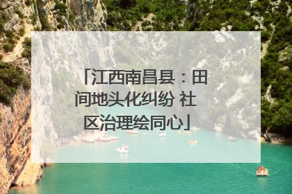 江西南昌县：田间地头化纠纷 社区治理绘同心