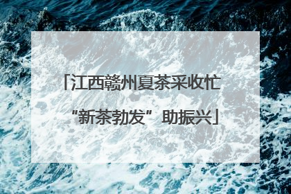 江西赣州夏茶采收忙 “新茶勃发”助振兴