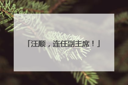 汪顺，连任副主席！