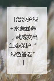 治沙护绿+水源涵养，武威交出生态保护“绿色答卷”