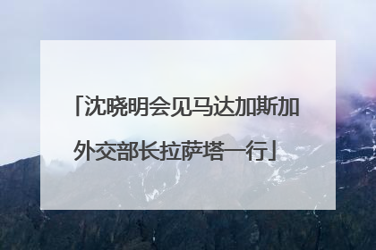 沈晓明会见马达加斯加外交部长拉萨塔一行