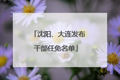 沈阳、大连发布干部任免名单