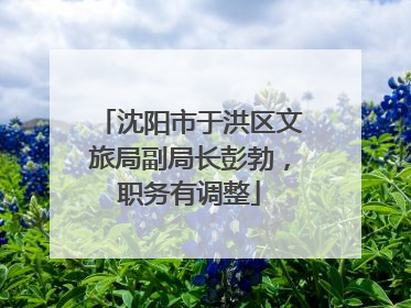 沈阳市于洪区文旅局副局长彭勃，职务有调整