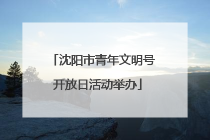 沈阳市青年文明号开放日活动举办