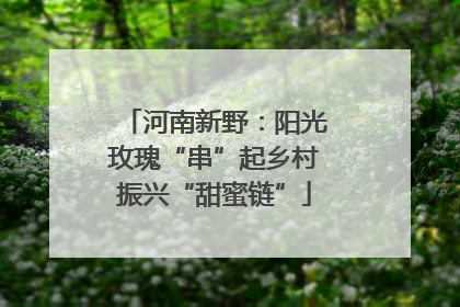河南新野：阳光玫瑰“串”起乡村振兴“甜蜜链”