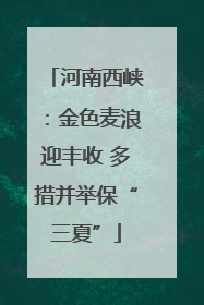 河南西峡：金色麦浪迎丰收 多措并举保“三夏”