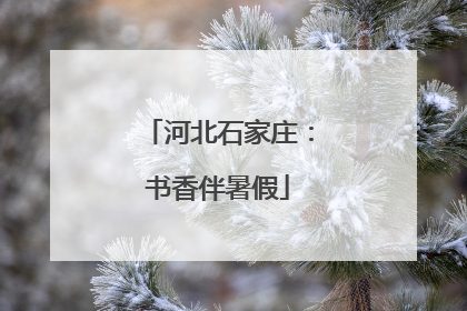 河北石家庄：书香伴暑假