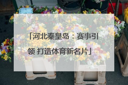 河北秦皇岛：赛事引领 打造体育新名片