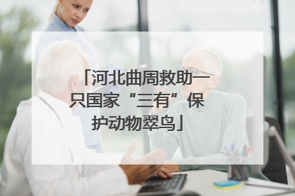 河北曲周救助一只国家“三有”保护动物翠鸟