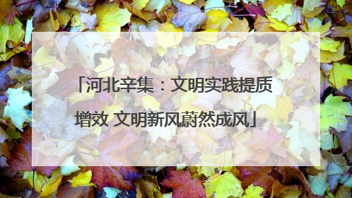 河北辛集：文明实践提质增效 文明新风蔚然成风