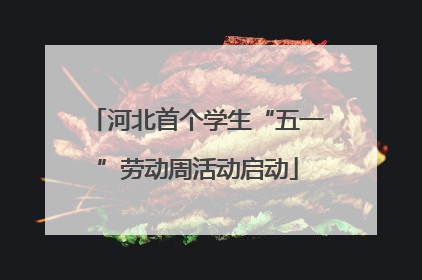 河北首个学生“五一”劳动周活动启动