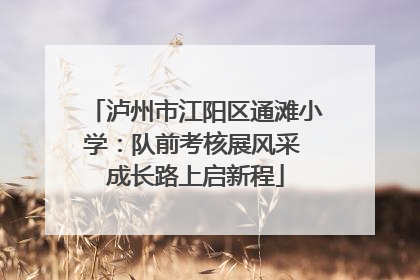 泸州市江阳区通滩小学：队前考核展风采 成长路上启新程