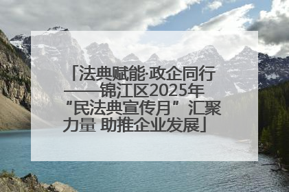 法典赋能·政企同行——锦江区2025年“民法典宣传月”汇聚力量 助推企业发展