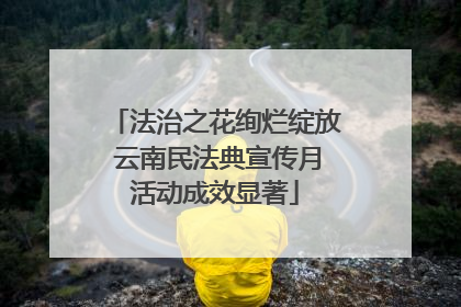 法治之花绚烂绽放 云南民法典宣传月活动成效显著