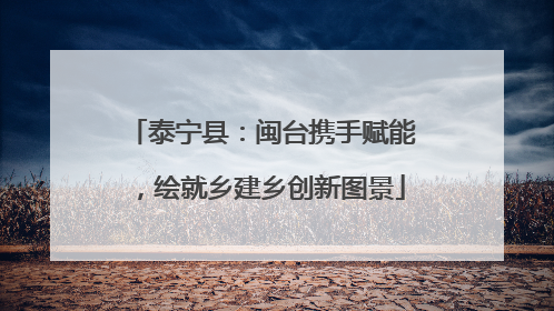 泰宁县：闽台携手赋能，绘就乡建乡创新图景