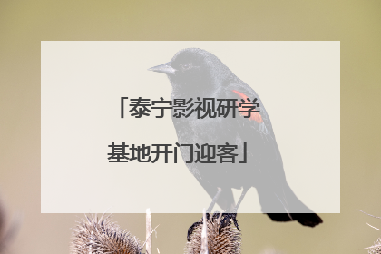 泰宁影视研学基地开门迎客