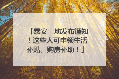 泰安一地发布通知！这些人可申领生活补贴、购房补助！