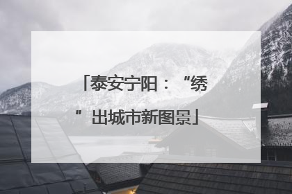 泰安宁阳：“绣”出城市新图景