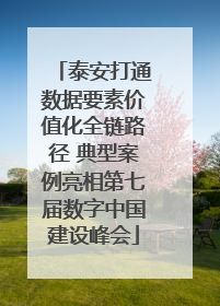 泰安打通数据要素价值化全链路径 典型案例亮相第七届数字中国建设峰会